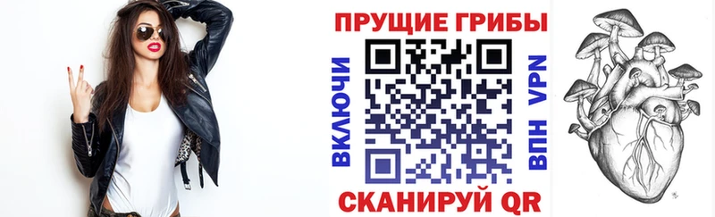 Псилоцибиновые грибы ЛСД где можно купить наркотик Барыш